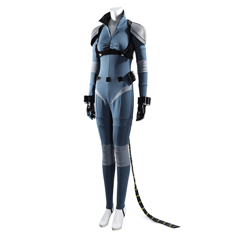 Selina Kyle Cosplay Costume Ad - Anime Cosplay Cat 评论和价格